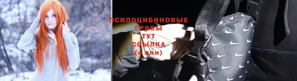 mdpv Арсеньев