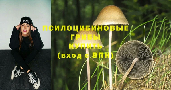 мет Армянск